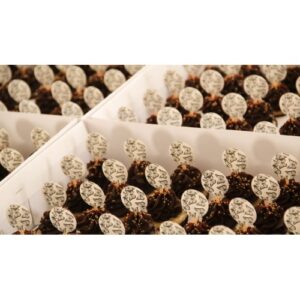 Mini Cupcakes Tradicional CUP49